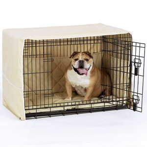 Crate Training Tips