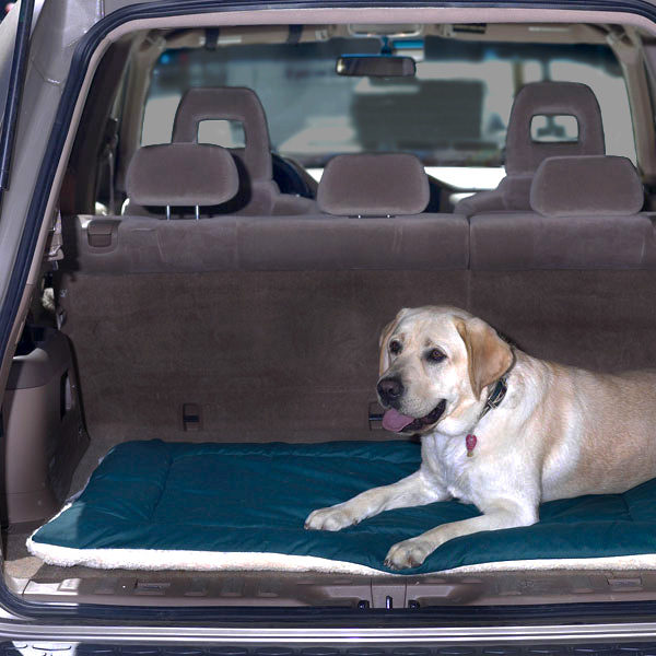Cheap dog mats new arrivals