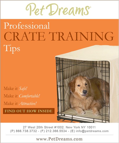 How to Crate Train A Puppy Pet Dreams